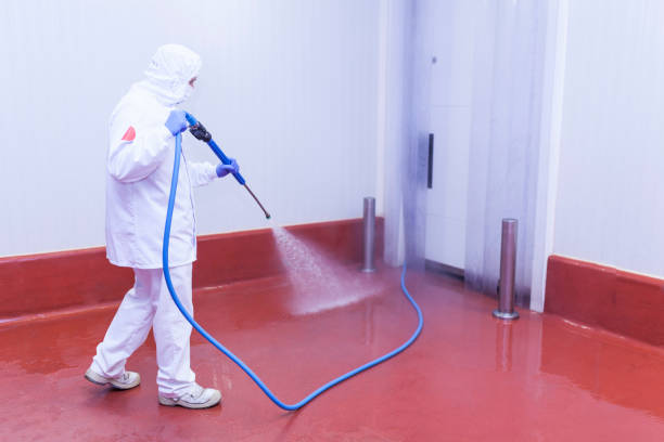 Professional Pressure Washing Services in Point Pleasant, NJ