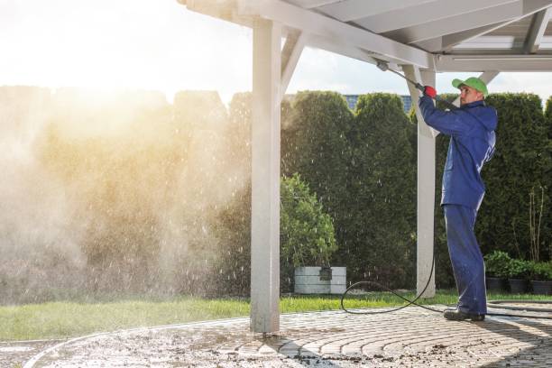 Best Roof Washing  in Point Pleasant, NJ